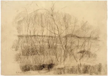 Paisaje con árboles